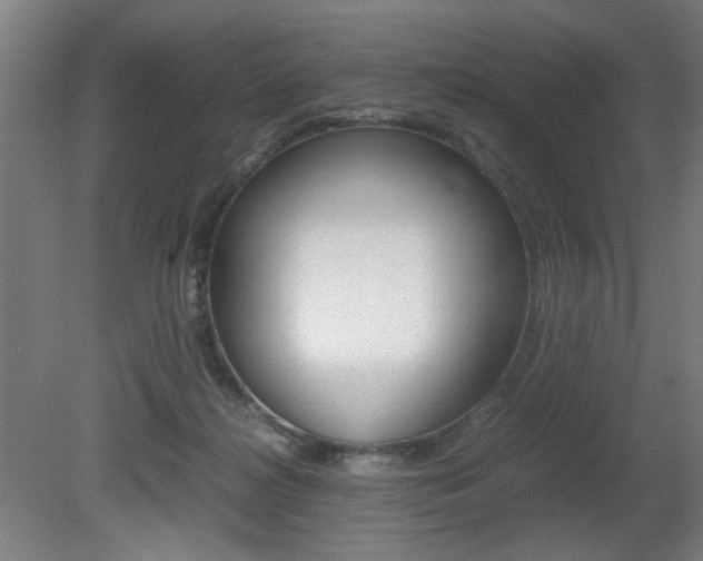 X0000080700268200612150844