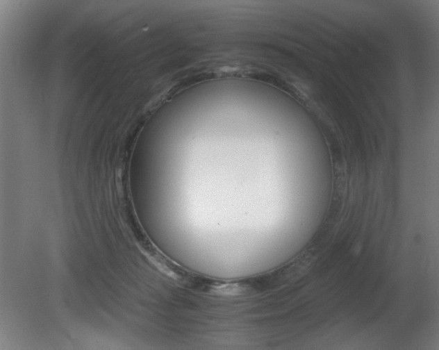 X0000080700269200612150844