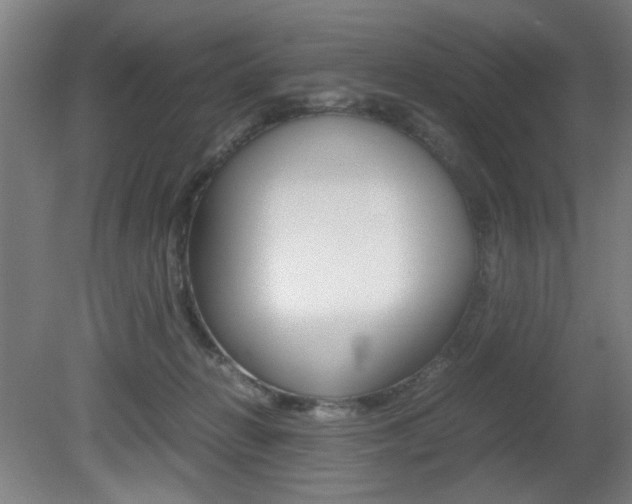 X0000080700270200612150844