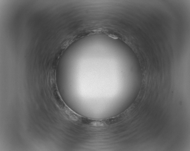 X0000080700272200612150844
