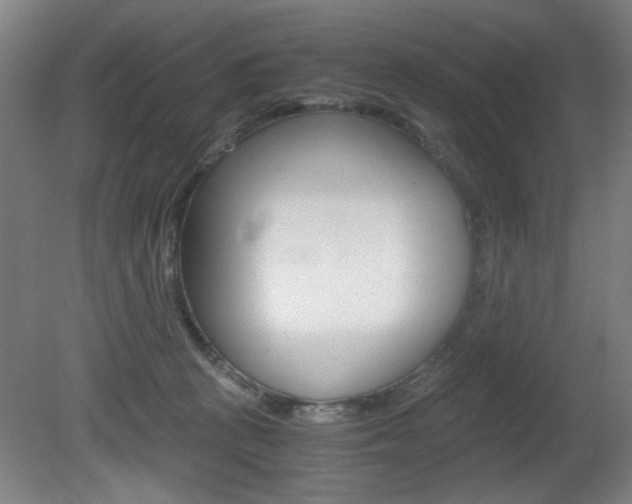 X0000080700273200612150844