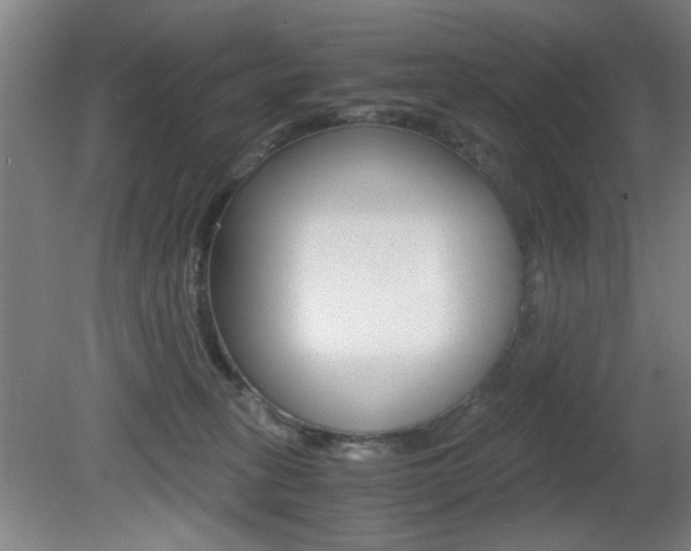 X0000080700275200612150844