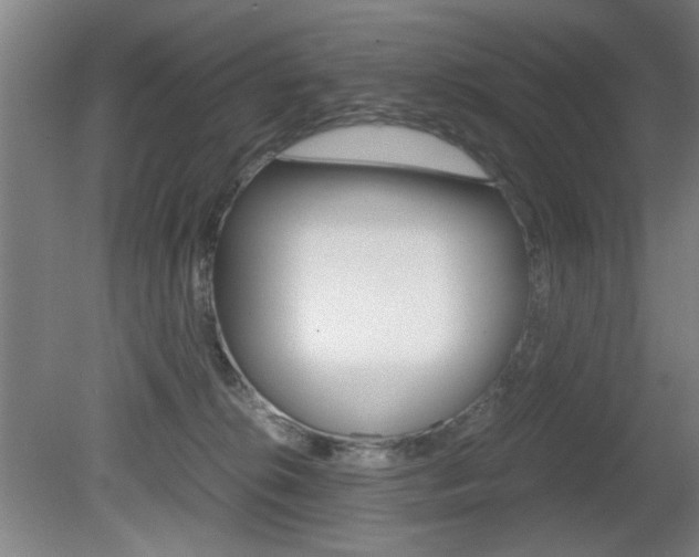 X0000080700276200612150844