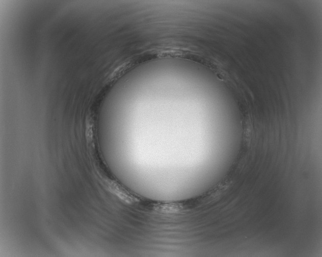 X0000080700282200612150844