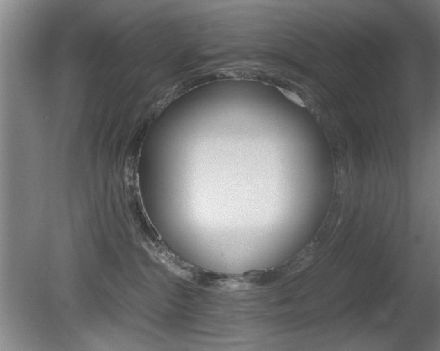 X0000080700284200612150844
