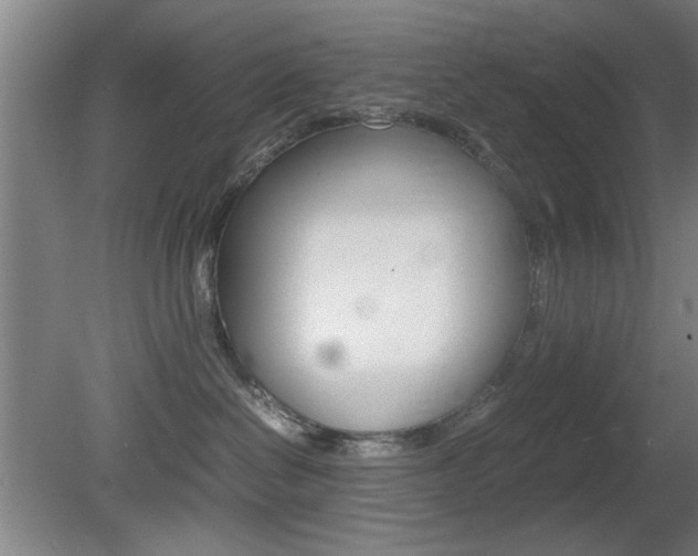 X0000080700286200612150844