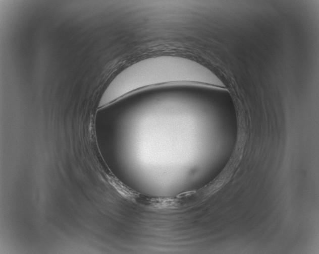 X0000080700288200612150845