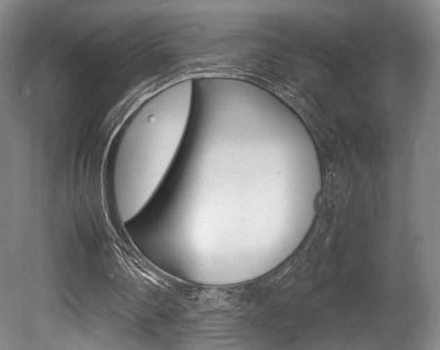 X0000080700290200612150844