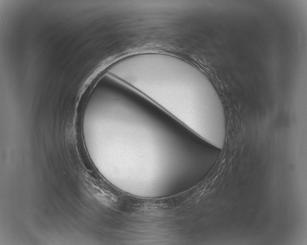 X0000080700292200612150844