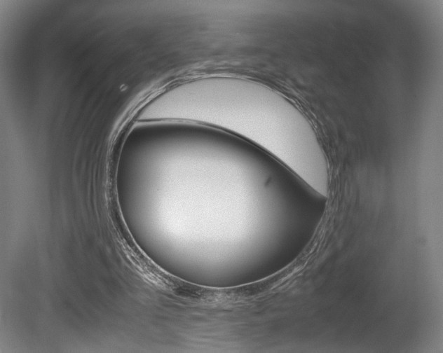 X0000080700293200612150844