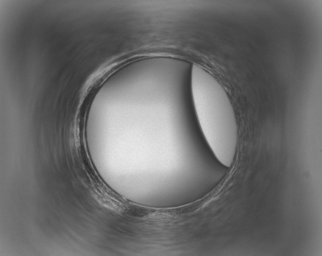 X0000080700294200612150844