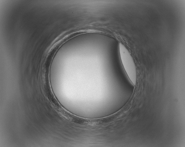 X0000080700295200612150844