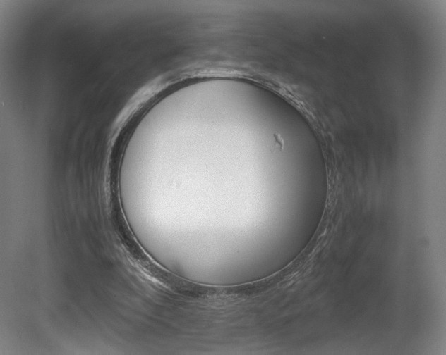 X0000080700296200612150844
