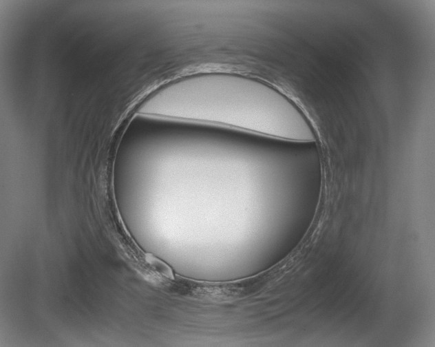 X0000080700297200612150844