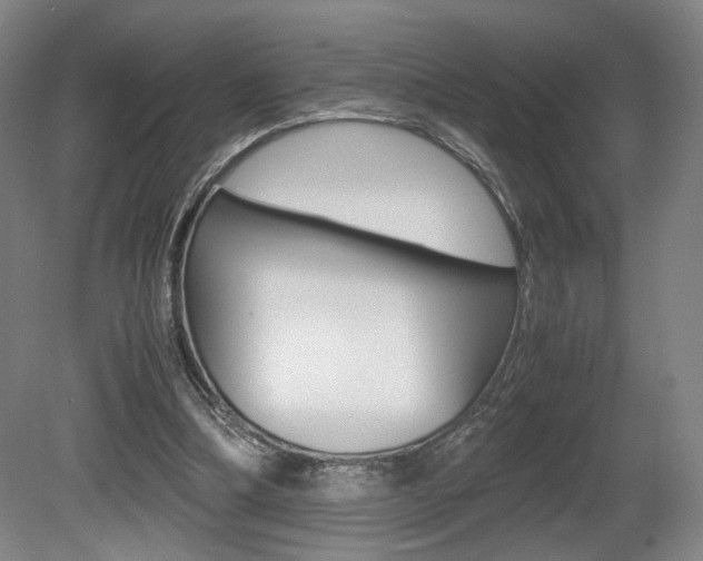 X0000080700298200612150844