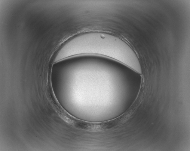 X0000080700301200612150844