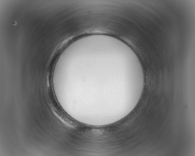 X0000080700302200612150844