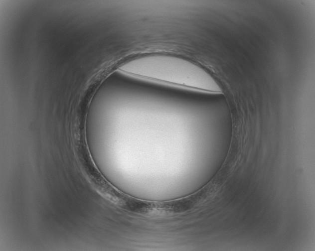X0000080700303200612150843