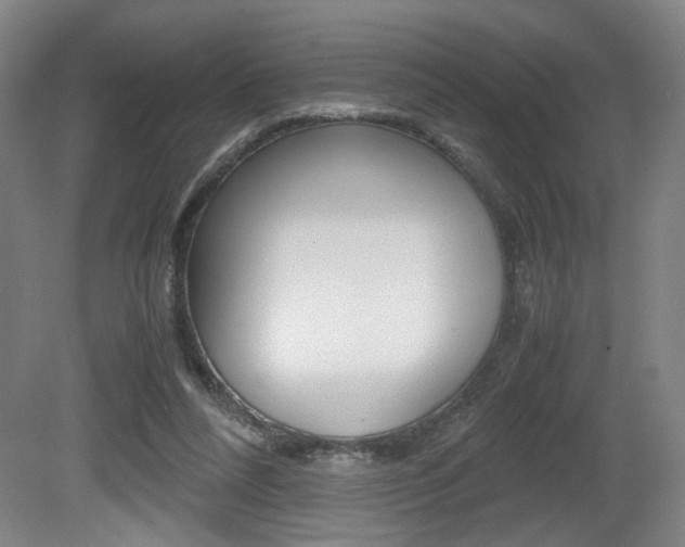 X0000080700304200612150843