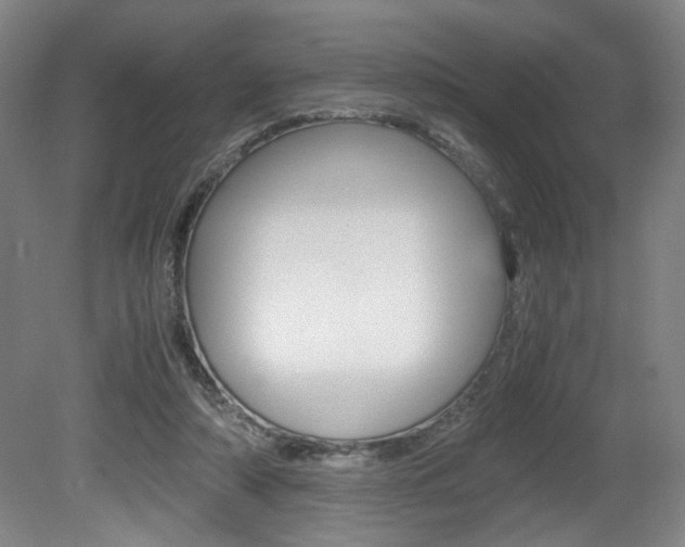 X0000080700306200612150843