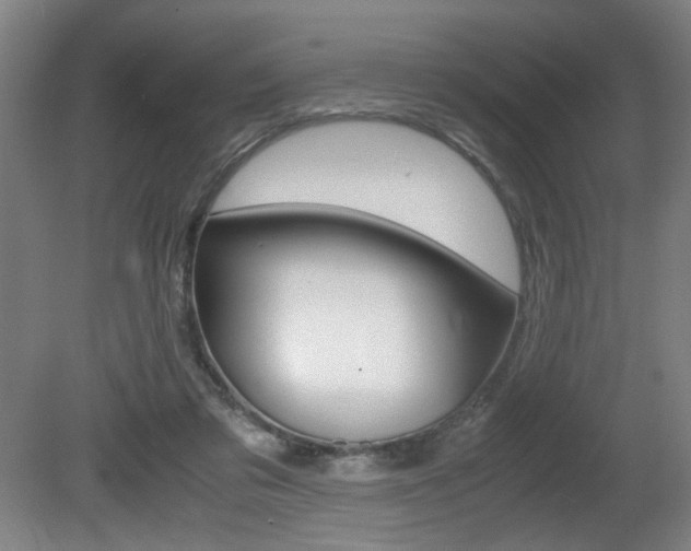 X0000080700309200612150843