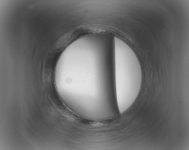 X0000080700315200612150843