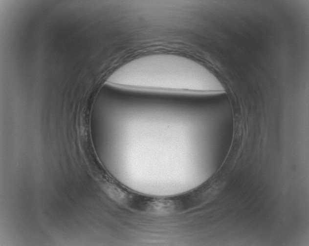 X0000080700317200612150843