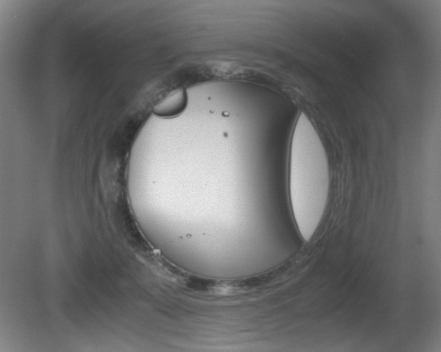 X0000080700319200612150843