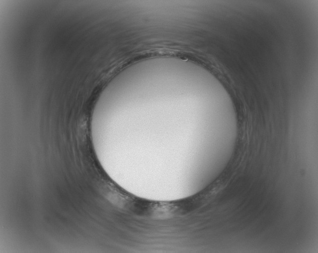 X0000080700321200612150843