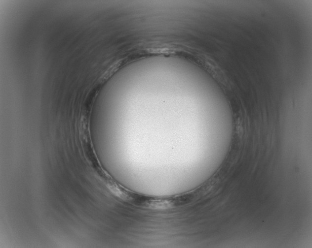 X0000080700322200612150843