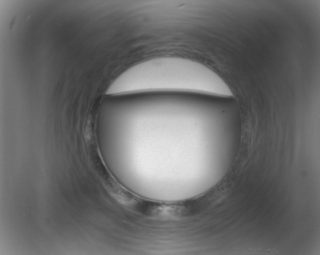 X0000080700323200612150843