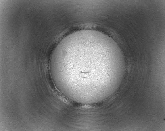 X0000080700326200612150843