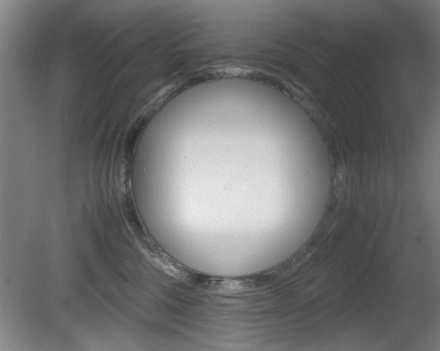 X0000080700330200612150843