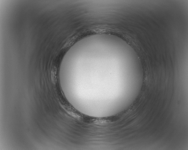 X0000080700332200612150843