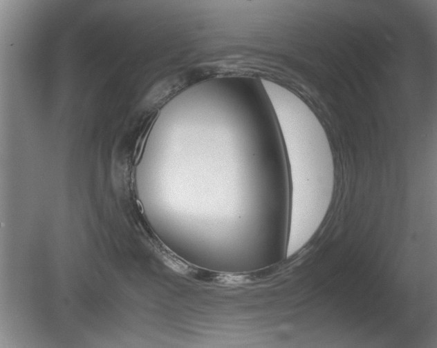 X0000080700333200612150843