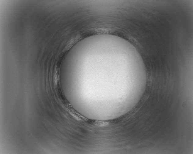 X0000080700334200612150843