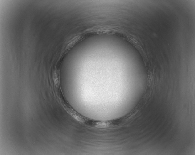 X0000080700335200612150843
