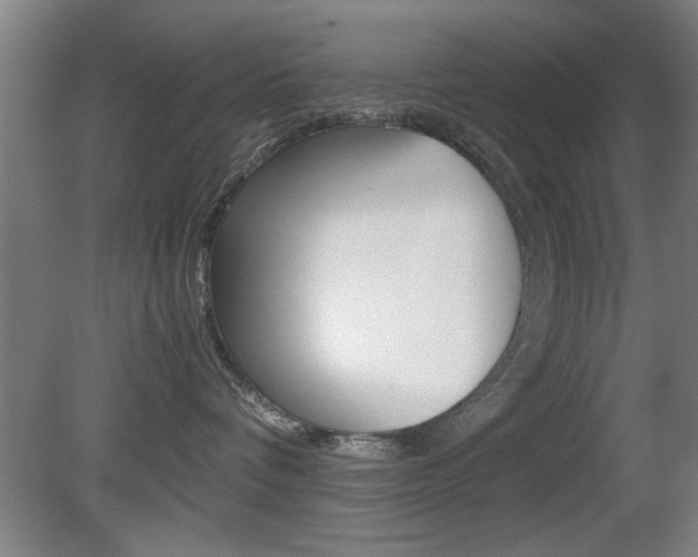 X0000080700336200612150843