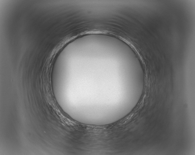 X0000080700337200612150842
