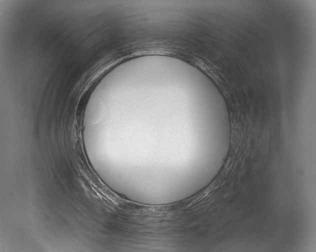 X0000080700338200612150842