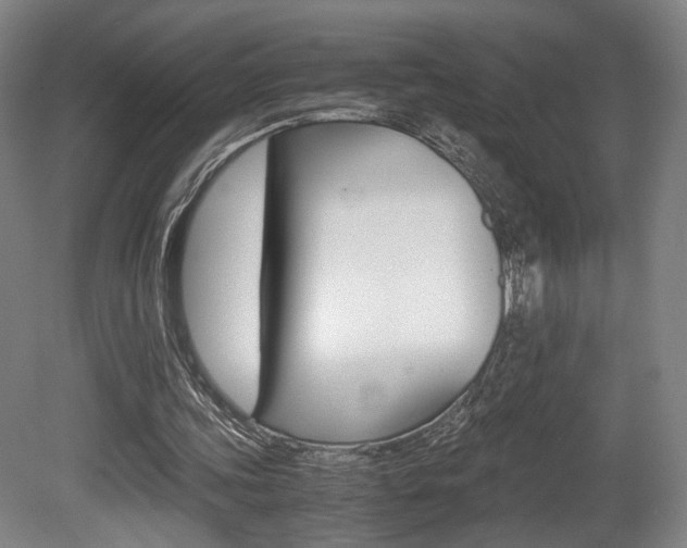 X0000080700339200612150842