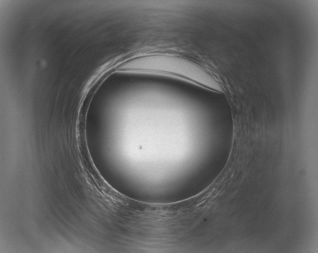 X0000080700340200612150842