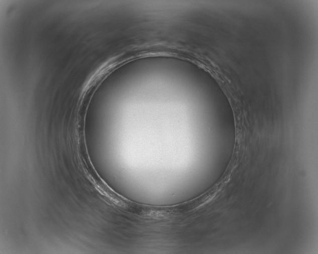 X0000080700341200612150842
