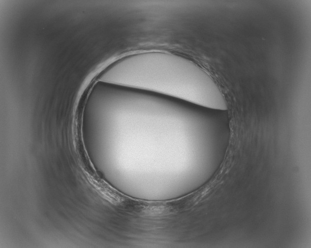X0000080700342200612150842