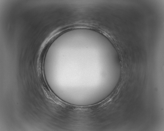 X0000080700343200612150842