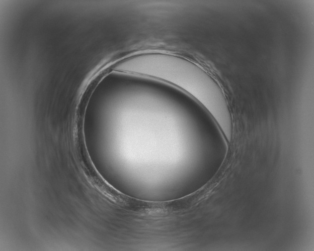 X0000080700344200612150842