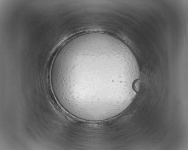 X0000080700347200612150842