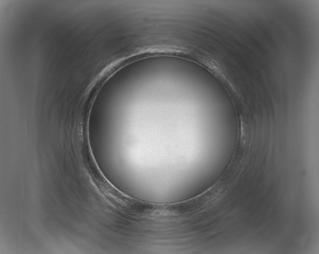 X0000080700348200612150842