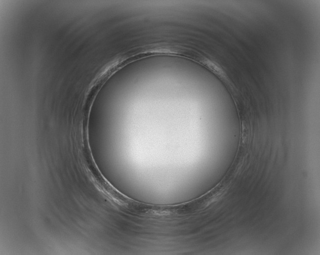 X0000080700349200612150842