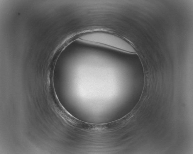 X0000080700350200612150842